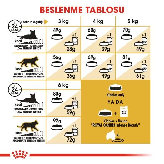 Royal Canin Sphynx Yetişkin Kedi Maması 2 Kg
