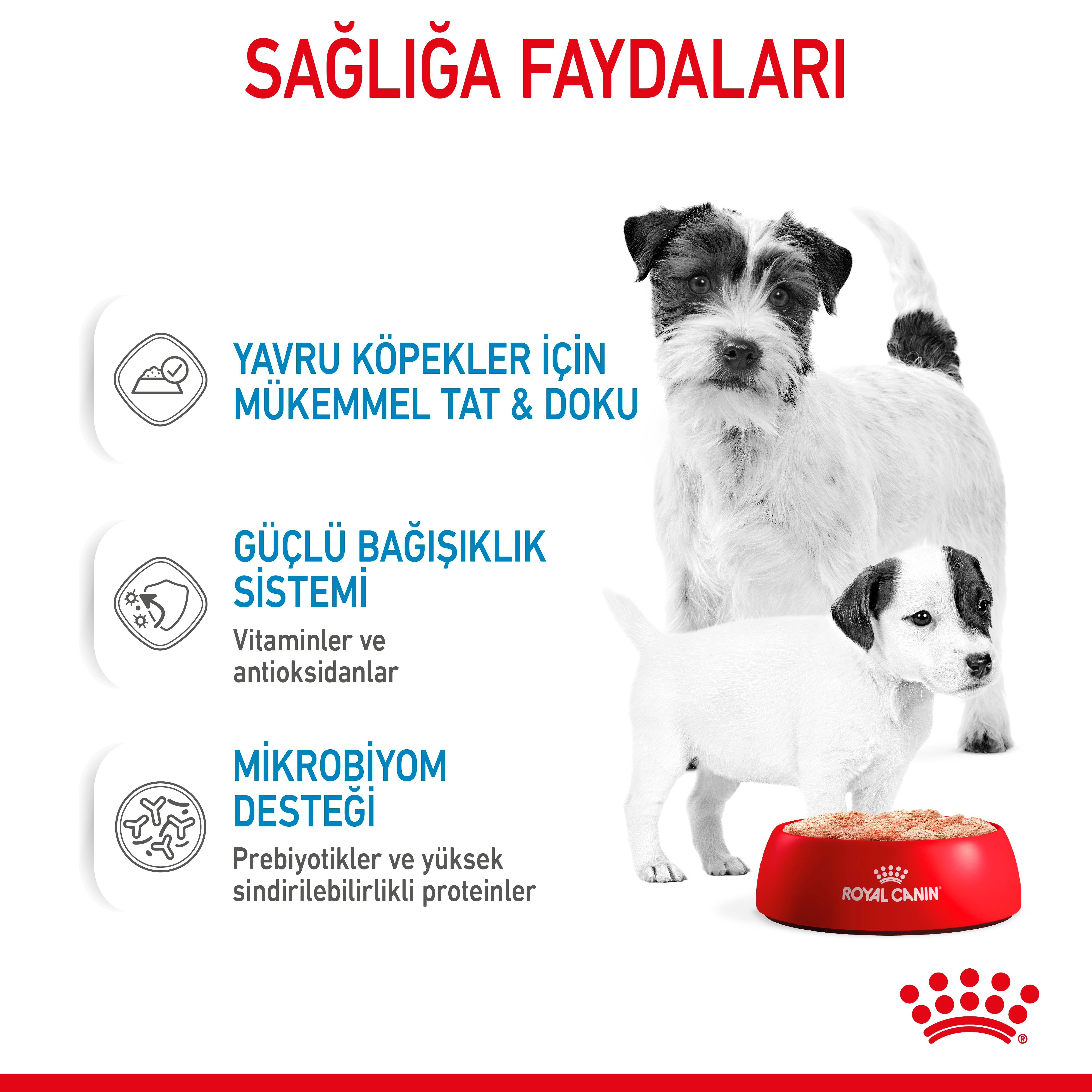 Royal Canin Starter Mousse Anne ve Yavru Köpek Yaş Konserve Maması 195 Gr