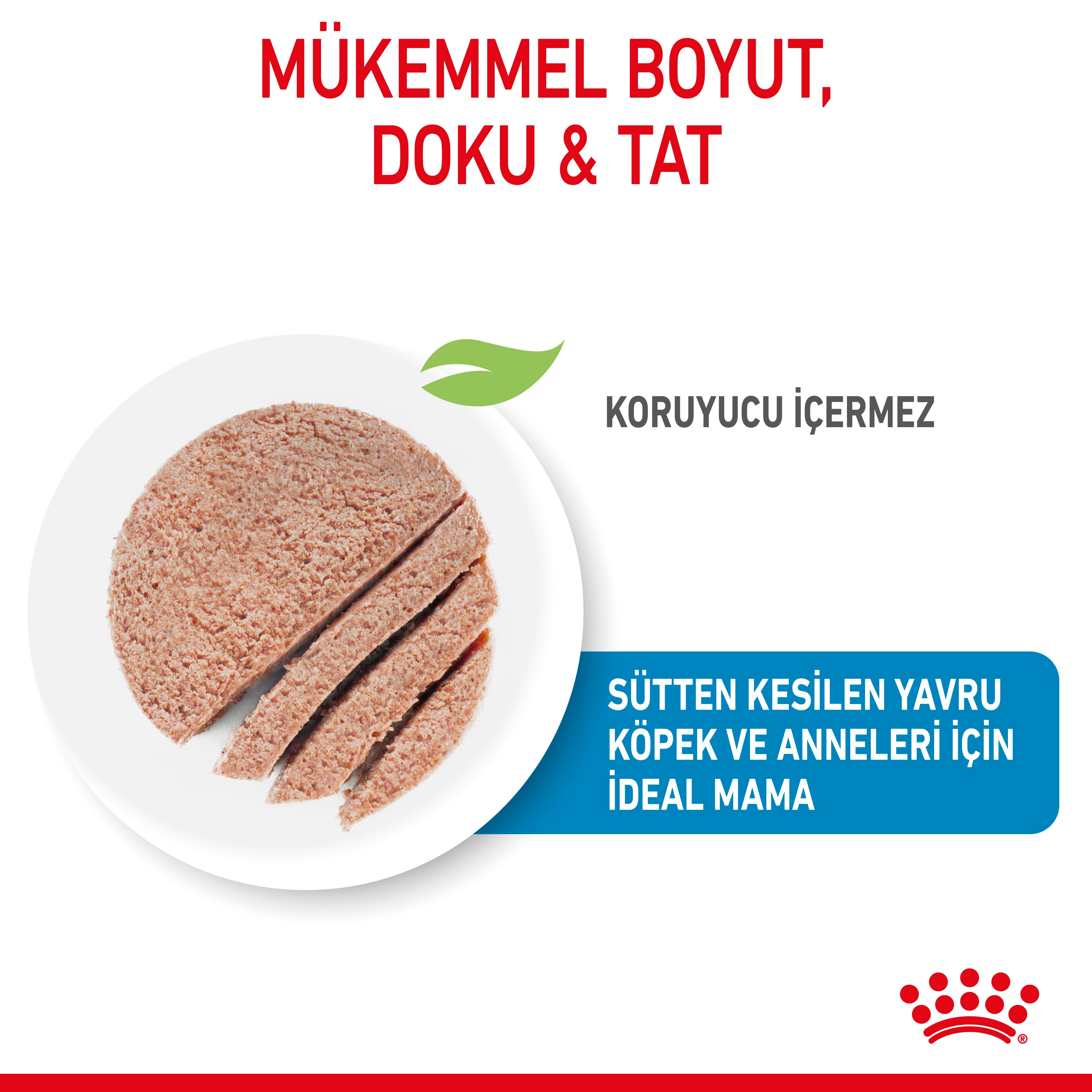 Royal Canin Starter Mousse Anne ve Yavru Köpek Yaş Konserve Maması 195 Gr