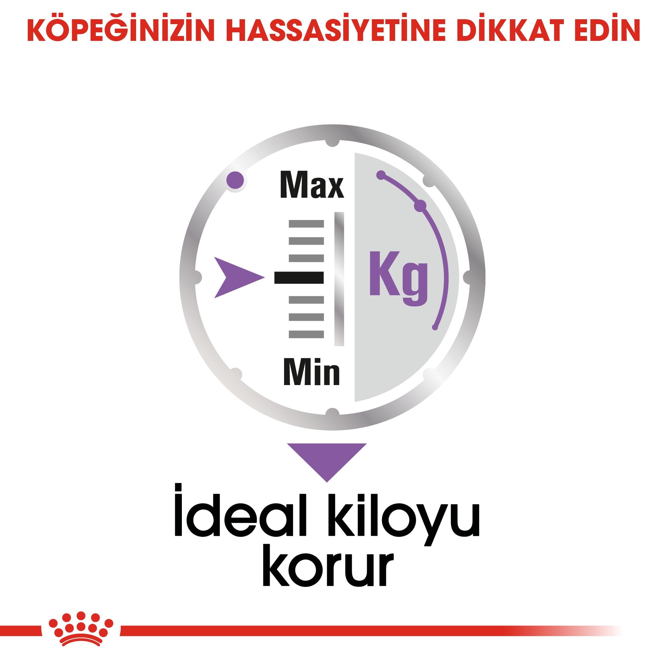 Royal Canin Sterilised Loaf Pouch Kısır Köpek Yaş Maması 85 Gr