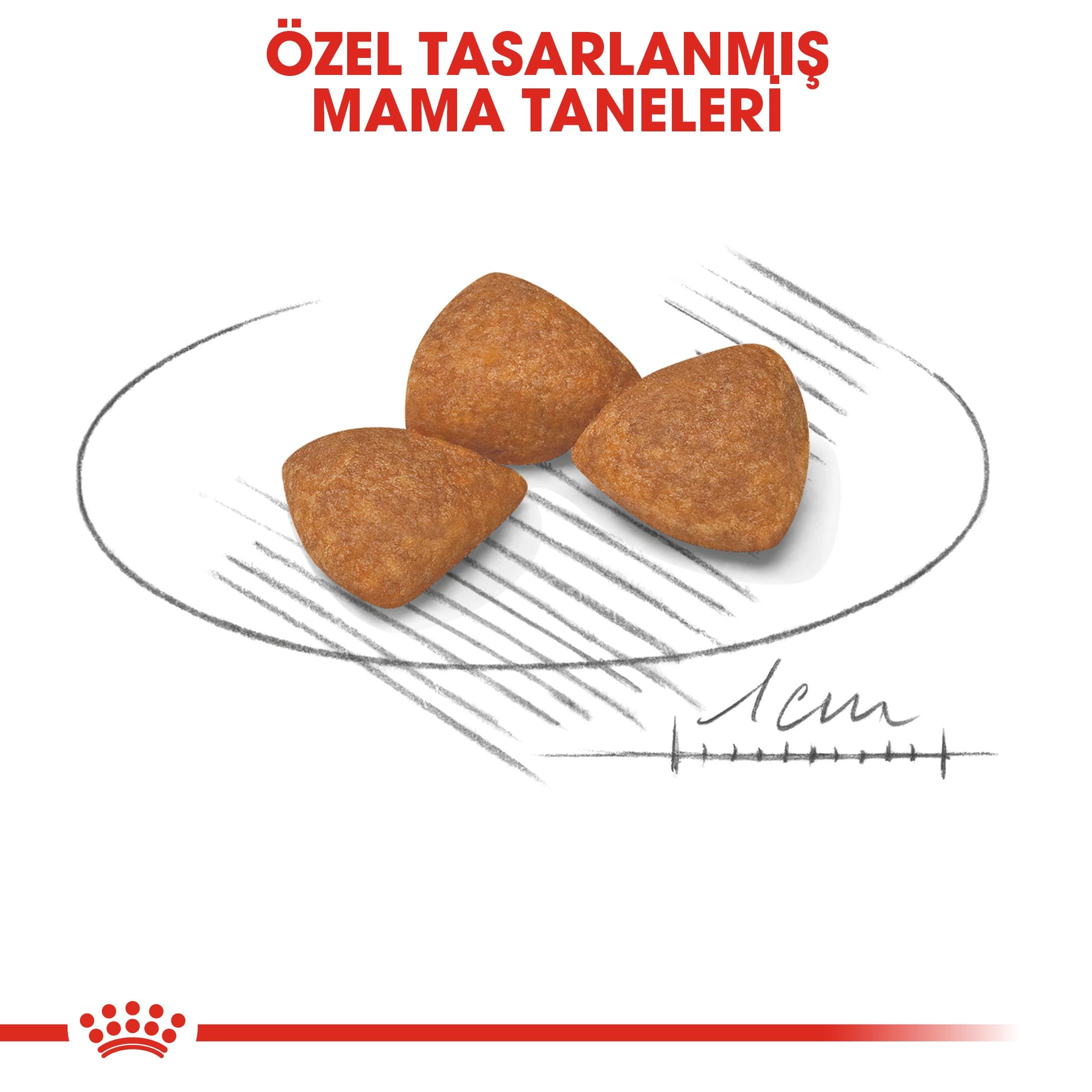 Royal Canin X-Small Ageing 12+ Yaşlı Küçük Irk Köpek Maması 1.5 Kg