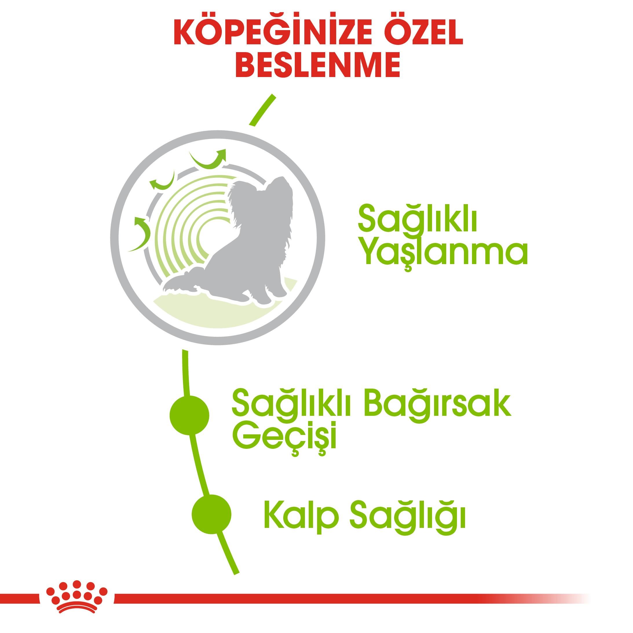 Royal Canin X-Small Ageing 12+ Yaşlı Küçük Irk Köpek Maması 1.5 Kg