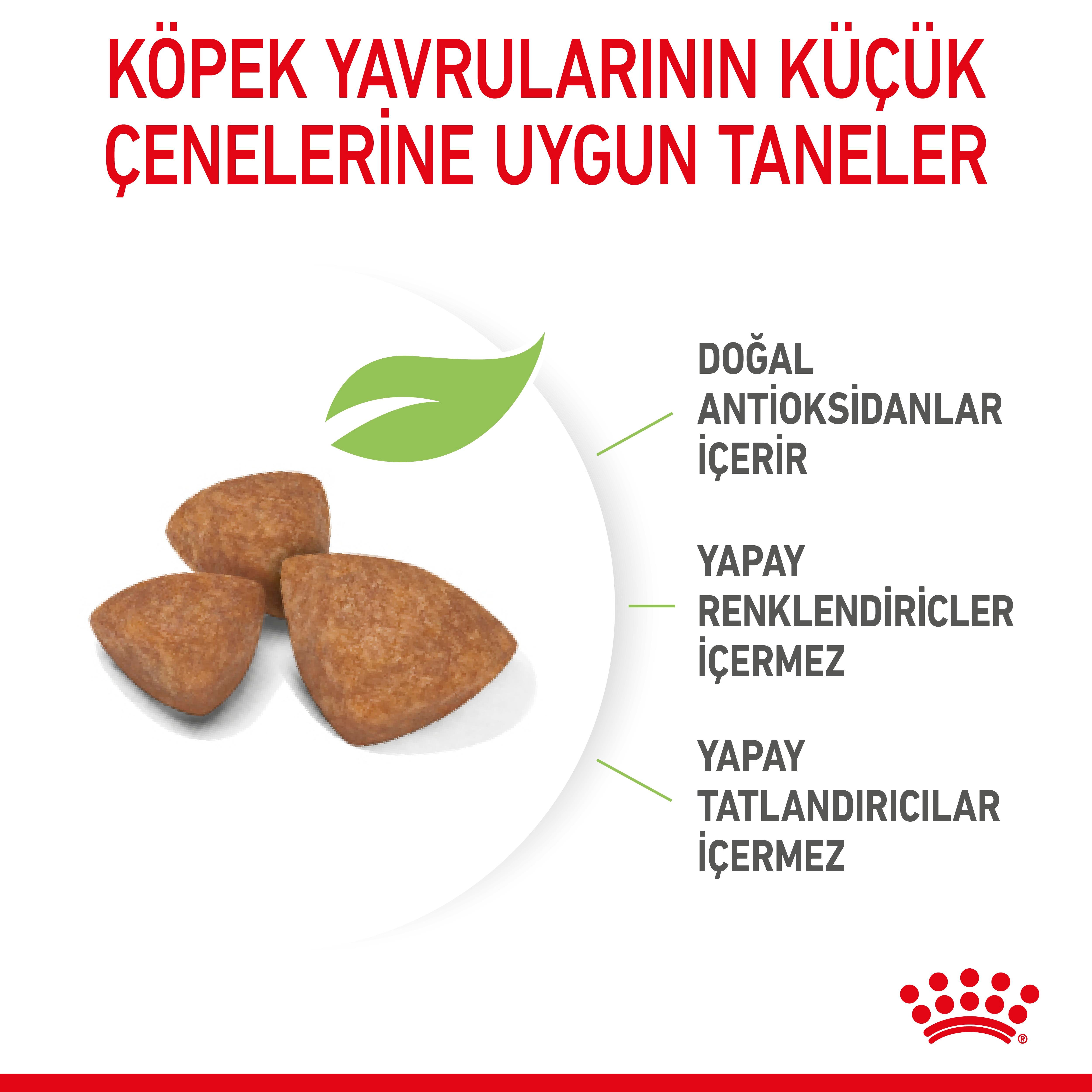 Royal Canin X-Small Puppy Küçük Irk Yavru Köpek Maması 1.5 Kg