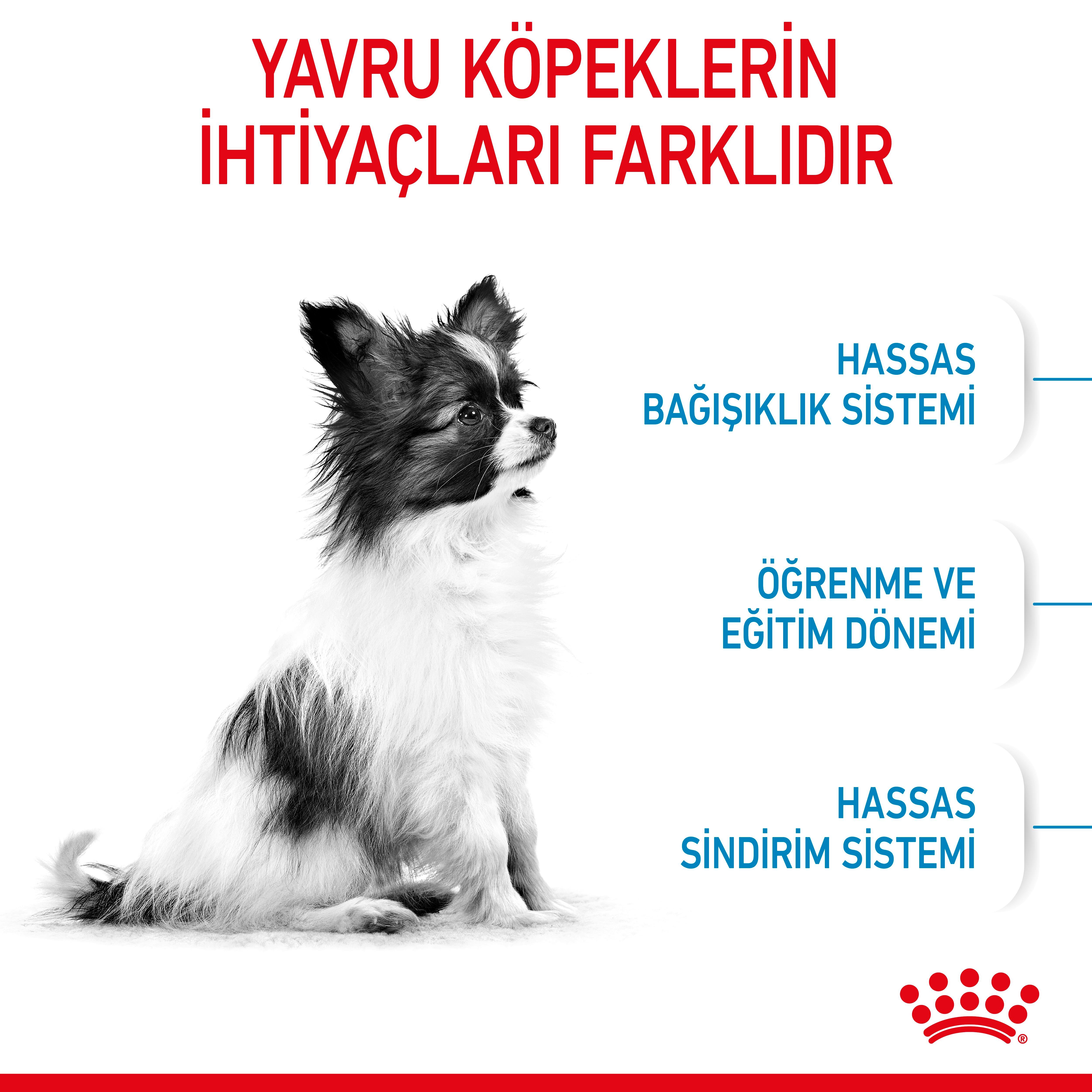 Royal Canin X-Small Puppy Küçük Irk Yavru Köpek Maması 1.5 Kg