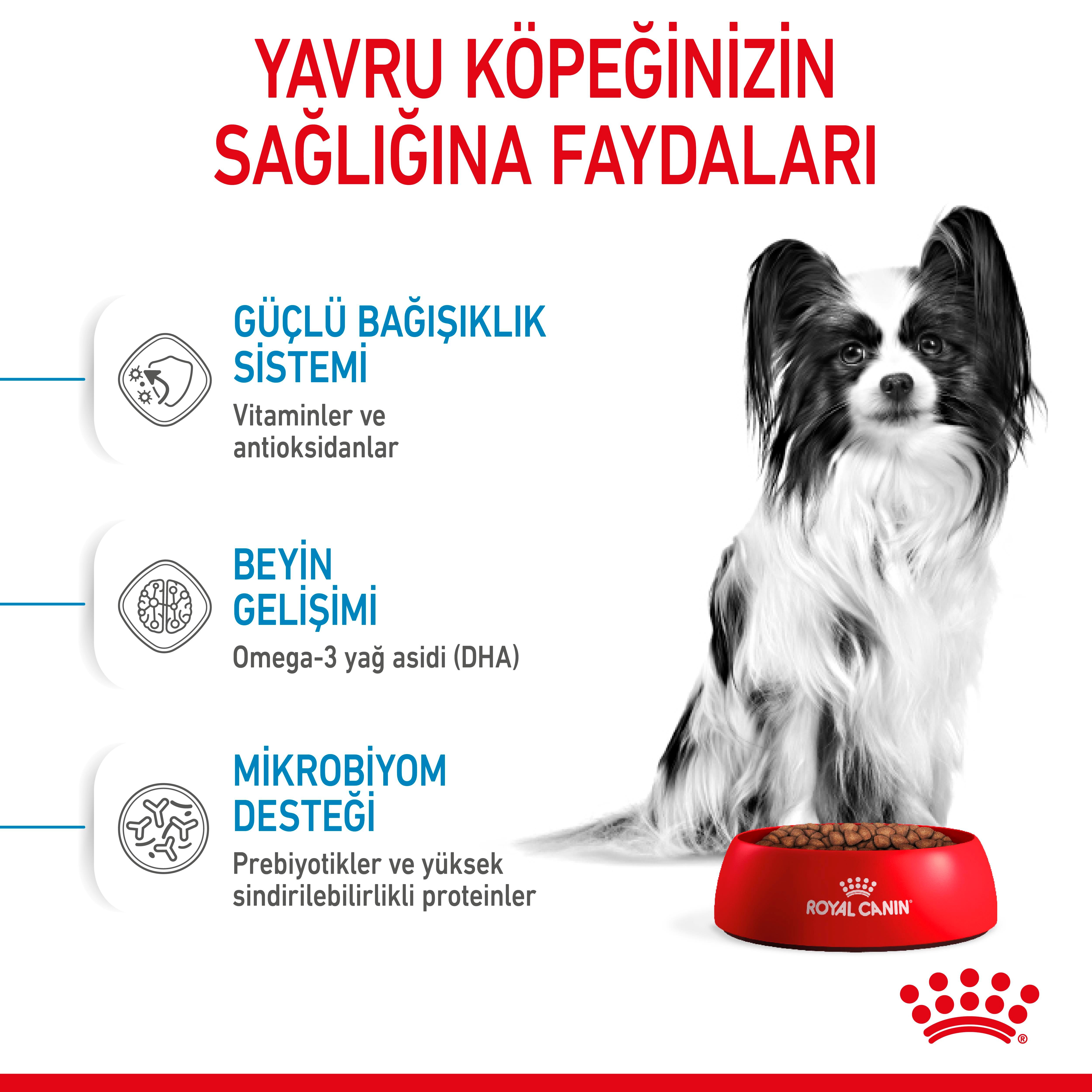 Royal Canin X-Small Puppy Küçük Irk Yavru Köpek Maması 3 Kg