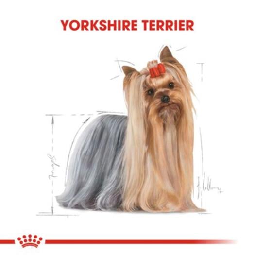 Royal Canin Yorkshire Terrier Adult Yetişkin Köpek Yaş Maması 85 Gr