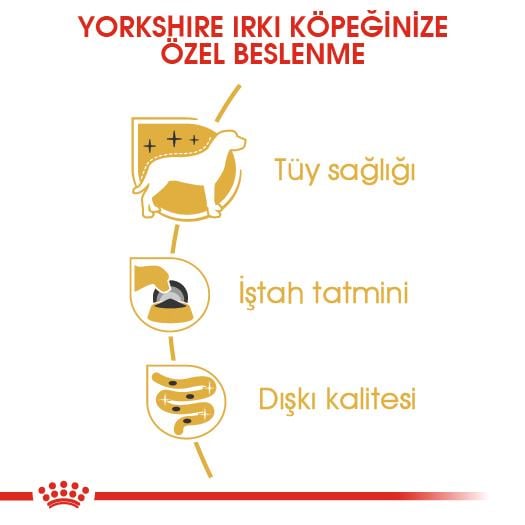Royal Canin Yorkshire Terrier Adult Yetişkin Köpek Yaş Maması 85 Gr