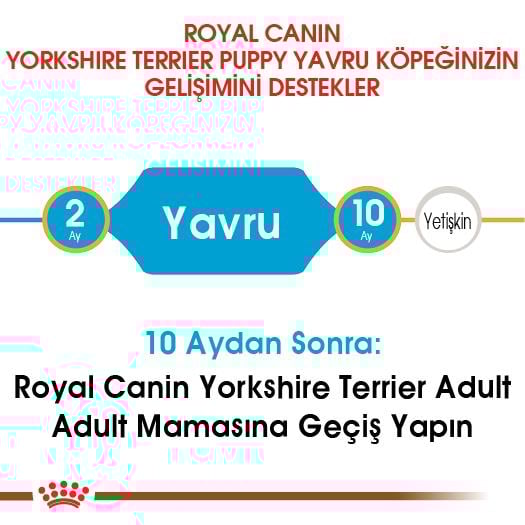 Royal Canin Yorkshire Terrier Puppy Yavru Köpek Maması 1.5 Kg
