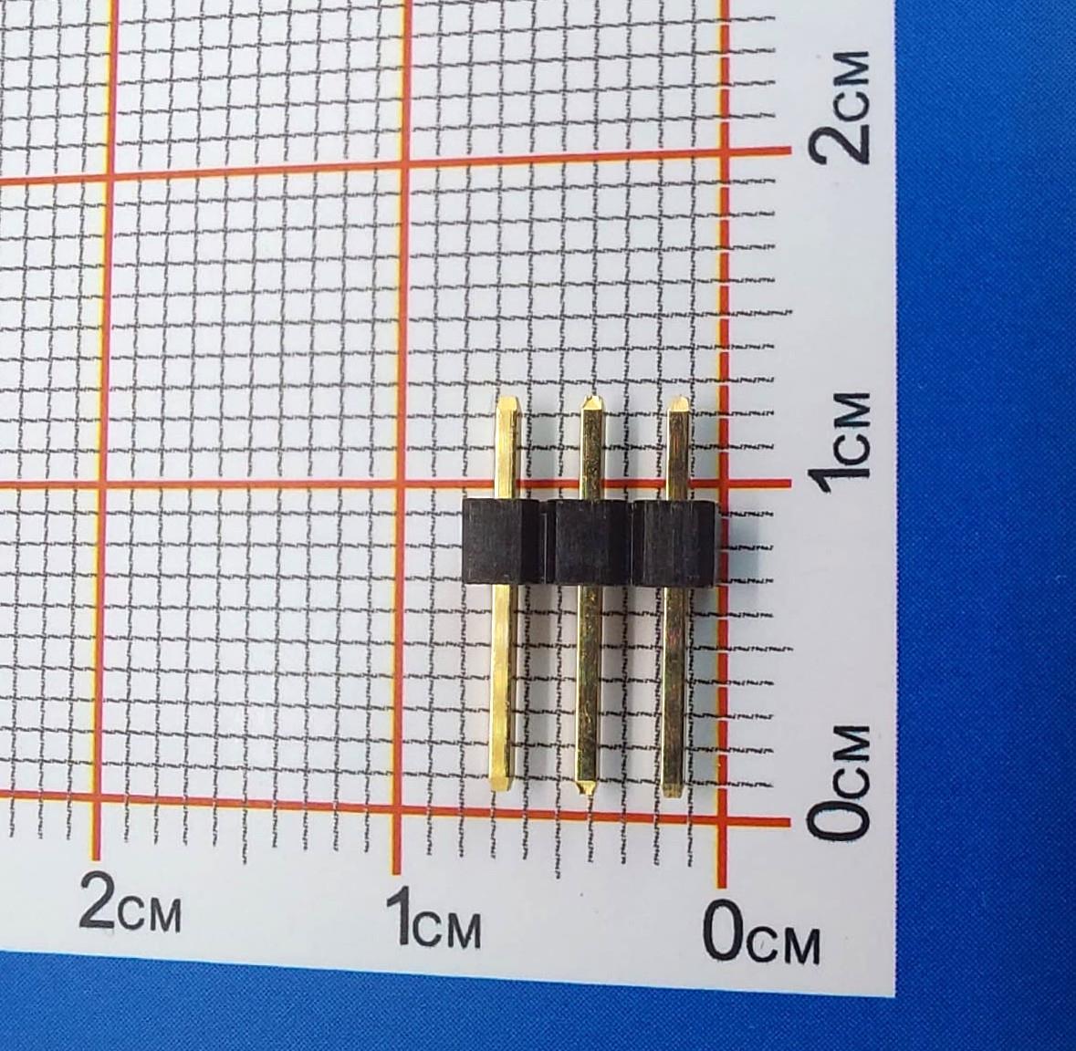 61300311121