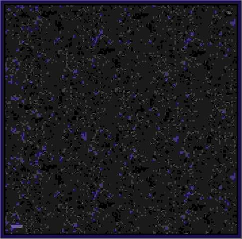 Armine Çiçek Desenli Saf İpek Twill Eşarp 9311 10