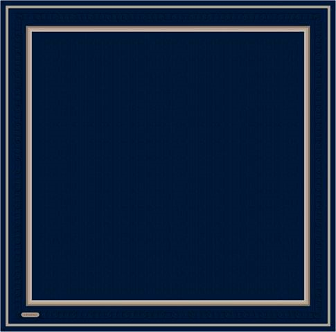 Armine Klasik Desenli Saf İpek Twill Eşarp 9301D 52