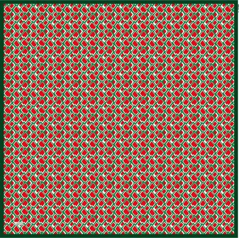 Armine Trend Eşarp 6022 01