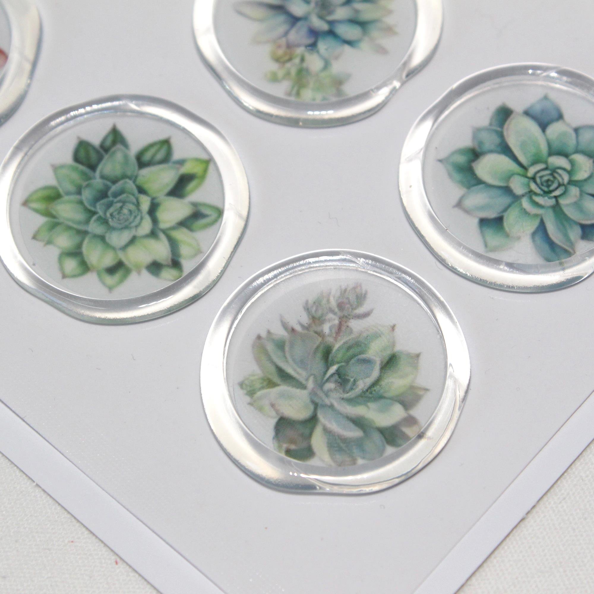 Mühürcüm 12 Adet Hazır Kendinden Yapışkanlı Sukulent Bitki Sticker Mühür KYSM109