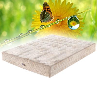 Butaş Visco 160x200 Şilte