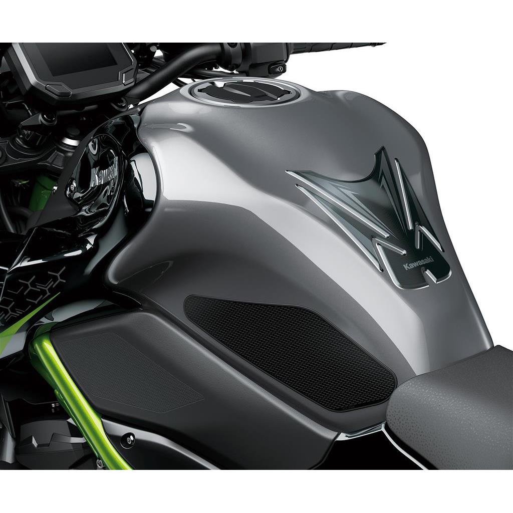 KAWASAKİ Z900 DİSK PAD