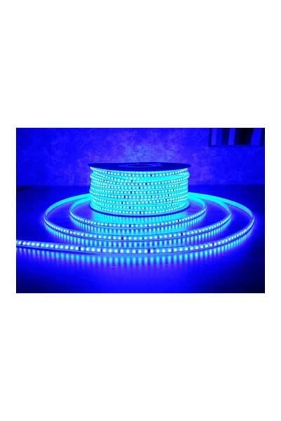 AS01-01506ACK 3535 120 Led/Metre Mavi 220V Şerit Led Ip65 10Mmx5Mm AS01-01506ACK AS01-01506 ACK 3535 120 Led-Metre Mavi 220V Şerit Led Ip65 10Mmx5Mm AS01-01506 | ACK | ubercoelektromarket.com{ubercoelektromarket}