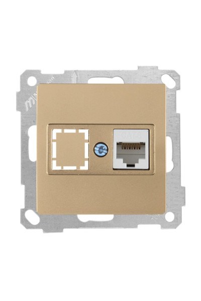 2100 140 0180Candela Mek+Tuş Data Prizi 1*Rj45 (Cat6) - Antik AltınCandela Mek+Tuş Data Prizi 1*Rj45 - Antik Altın | MUTLUSAN{ubercoelektromarket}