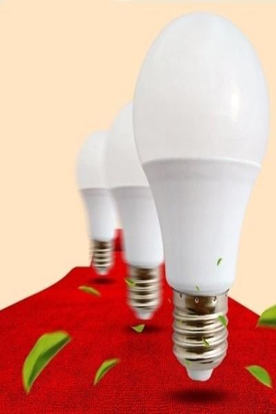 d385edb9-e509-47b0-931e-32e7fb8186e5-d-c5a1.jpg