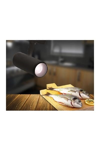 FL-2247 BForlife FL-2247 B Reyon Ray Spotları 30WForlife FL-2247 B Reyon Ray Spotları 30W{ubercoelektromarket}