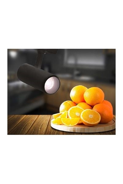 FL-2247 MForlife FL-2247 M Reyon Ray Spotları 30WForlife FL-2247 M Reyon Ray Spotları 30W{ubercoelektromarket}