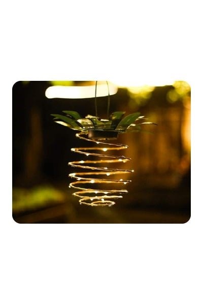 FL-3269Forlife FL-3269 5w Solar Ananas Led Lamba IP65Forlife FL-3269 5w Solar Ananas Led Lamba IP65{ubercoelektromarket}