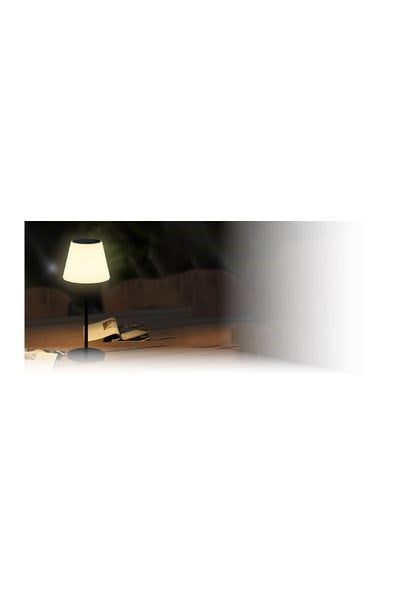 FL-3269Forlife FL-3269 5w Solar Ananas Led Lamba IP65Forlife FL-3269 5w Solar Ananas Led Lamba IP65{ubercoelektromarket}