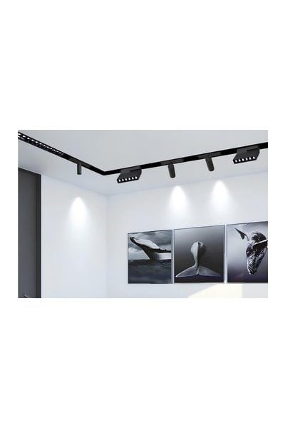 FL-5521 D-PForlife FL-5521 D Platin 11 Cm Hareketli Kompakt Lensli Magnet Armatür Dimli Platin 6WForlife FL-5521 D Platin 11 Cm Hareketli Kompakt Lensli{ubercoelektromarket}