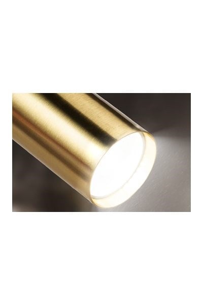 FL-5571 DDForlife FL-5571 DD Magnet Ray Spot Dali Dimli 10WForlife FL-5571 DD Magnet Ray Spot Dali Dimli 10W{ubercoelektromarket}