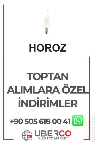 001-014-0006 BHoroz 001-014-0006 Filament Flame 6W Led Fılament Ampul 6400K Beyaz 220-240V E14 DimHoroz 001-014-0006 Filament Flame 6W Led Fılament Ampul 6400K{ubercoelektromarket}