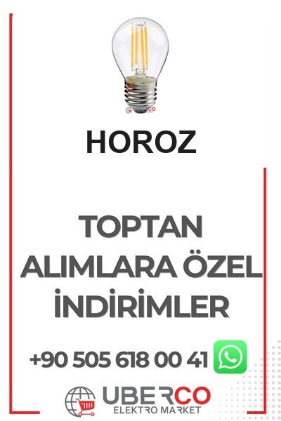 001-089-0006 IBHoroz 001-089-0006 Filament Ball 6W Rustik Ampul 4200K Ilık Beyaz14Horoz 001-089-0006 Filament Ball 6W Rustik Ampul 2700K Sarı{ubercoelektromarket}