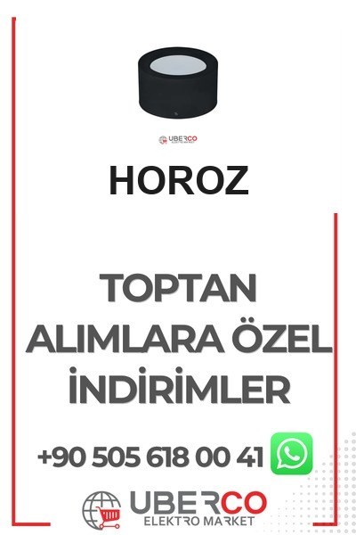 016-043-0010 SHoroz 016-043-0010 Sandra 10W Duvar Ve Tavan Armatürü 2700K SarıHoroz 016-043-0010 Sandra 10W Duvar Ve Tavan Armatürü 2700K{ubercoelektromarket}