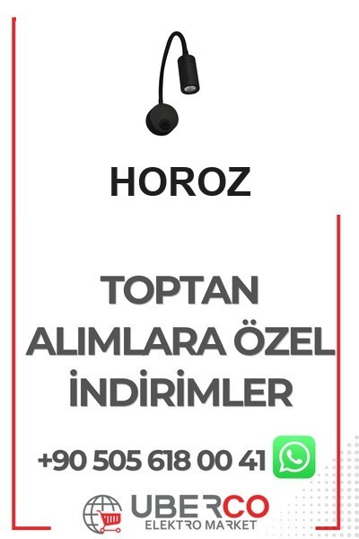 040-007-0003 GHoroz 040-007-0003 Turna 3W Led Okuma Lambaları Gümüş 4200K Ilık Beyaz 85-265VHoroz 040-007-0003 Turna 3W Led Okuma Lambaları Gümüş 4200K Ilık{ubercoelektromarket}