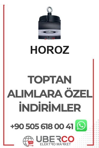 063-003-0100 BHoroz 063-003-0100 Artemis 100W Duvar Ve Tavan Armatürü 6400K Beyaz 220VHoroz 063-003-0100 Artemis 100W Duvar Ve Tavan Armatürü 6400K{ubercoelektromarket}