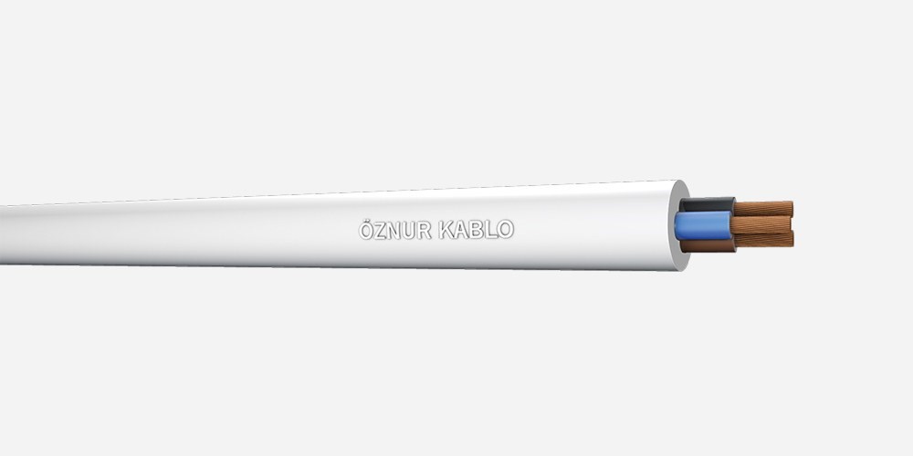 OZN-TTR(10x2.5mm²)-BYZÖznur TTR (H05VV-F) 10x2.5mm² Beyaz KabloÖznur TTR (H05VV-F) 10x2.5mm² Beyaz Kablo{ubercoelektromarket}
