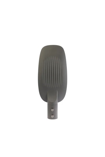 Pelsan 113622PELSAN 113622 Berlin G2 Cadde Armatürü 60W 5000K IP65PELSAN 113622 Berlin G2 Cadde Armatürü 60W 5000K IP65{ubercoelektromarket}