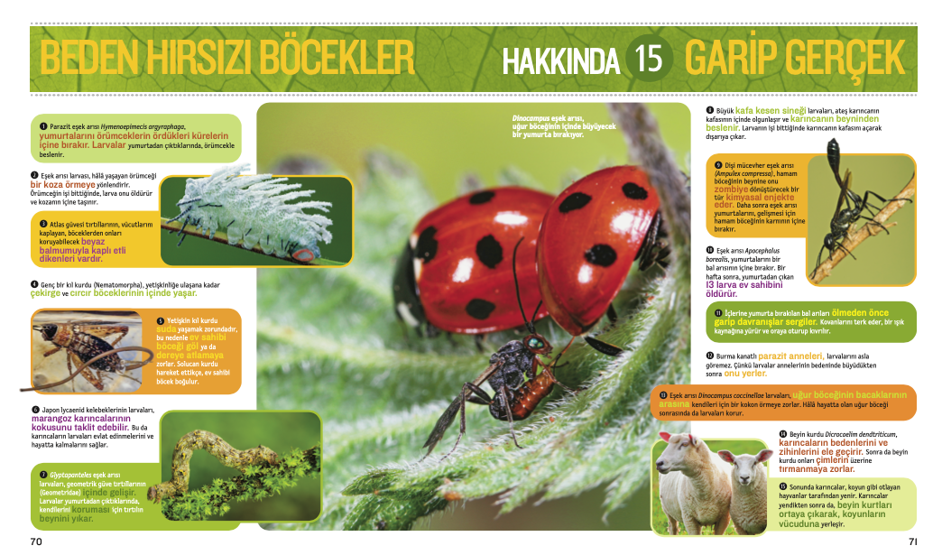 Böcekler Hakkında 1000 Gerçek!