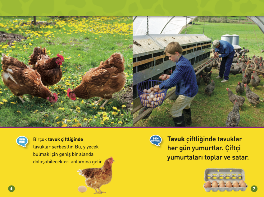 Çiftlik Hayvanları