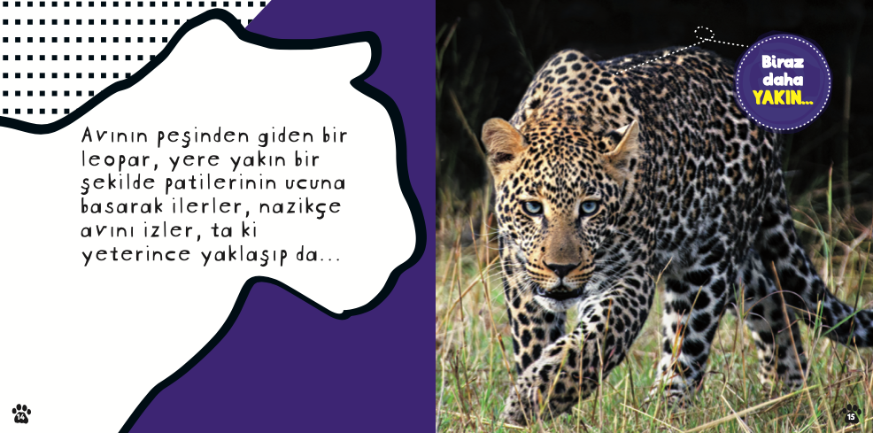 Çok Havalı Leoparlar paket