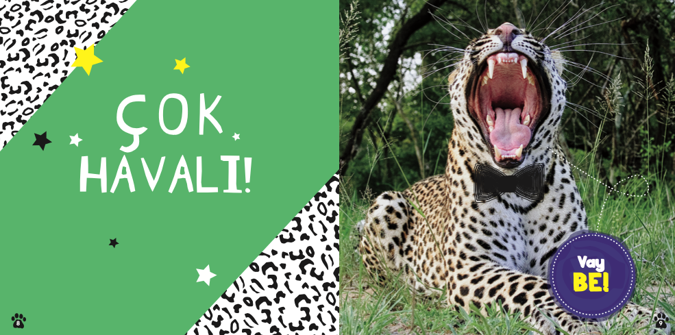 Çok Havalı Leoparlar paket