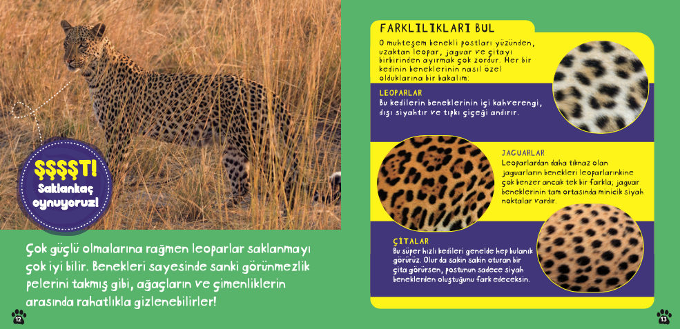 Çok Havalı Leoparlar paket