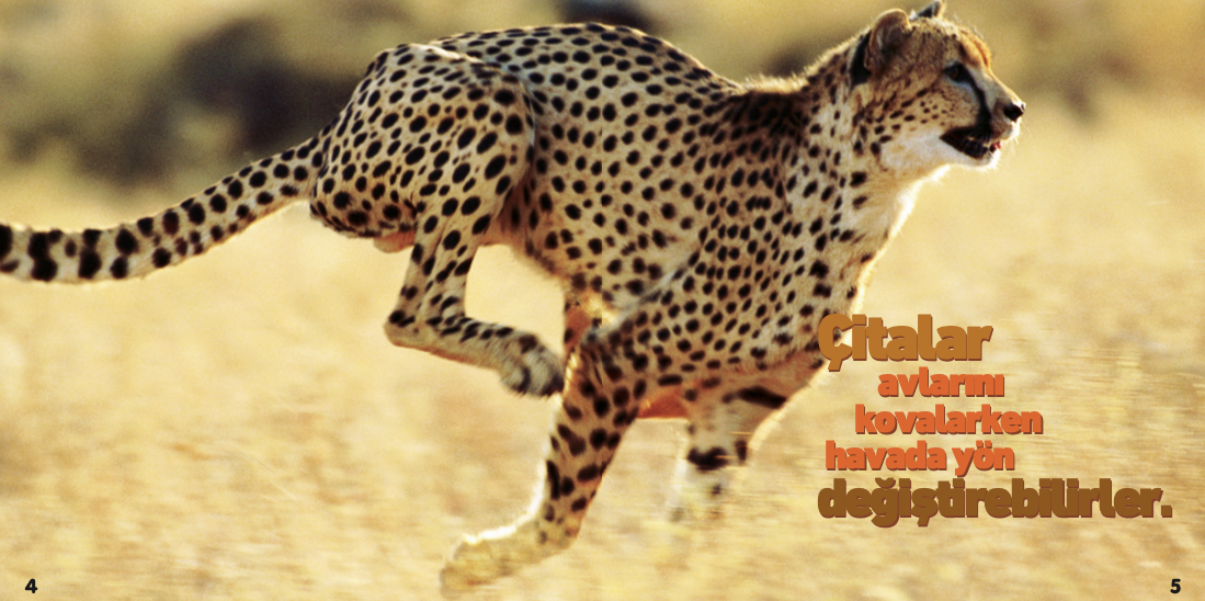 Garip Ama Gerçek! 1  (350 Müthiş Gerçek )