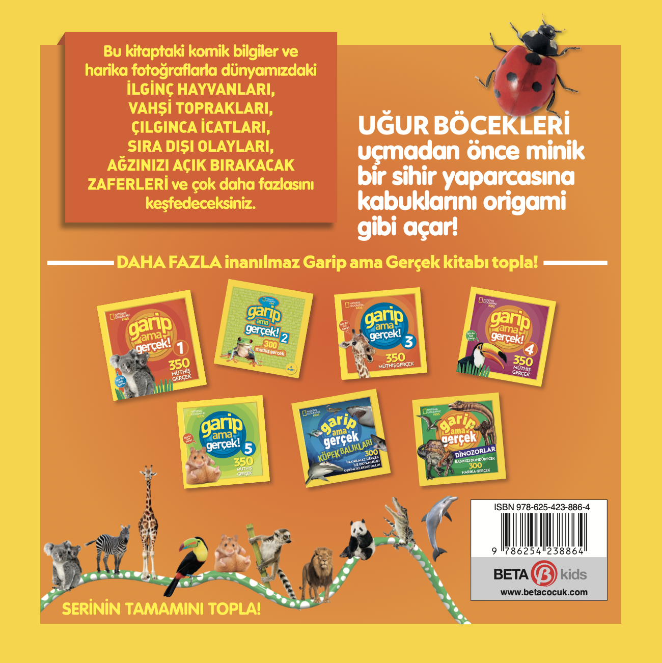 Garip Ama Gerçek! 6  (350 Şok Edici Gerçek)