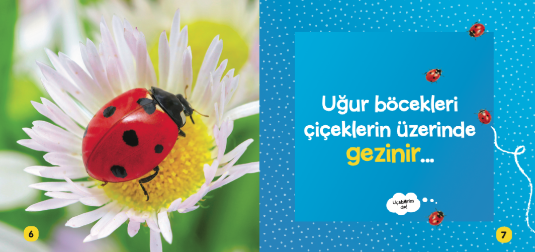 Hareket Halindeki Hayvanlar