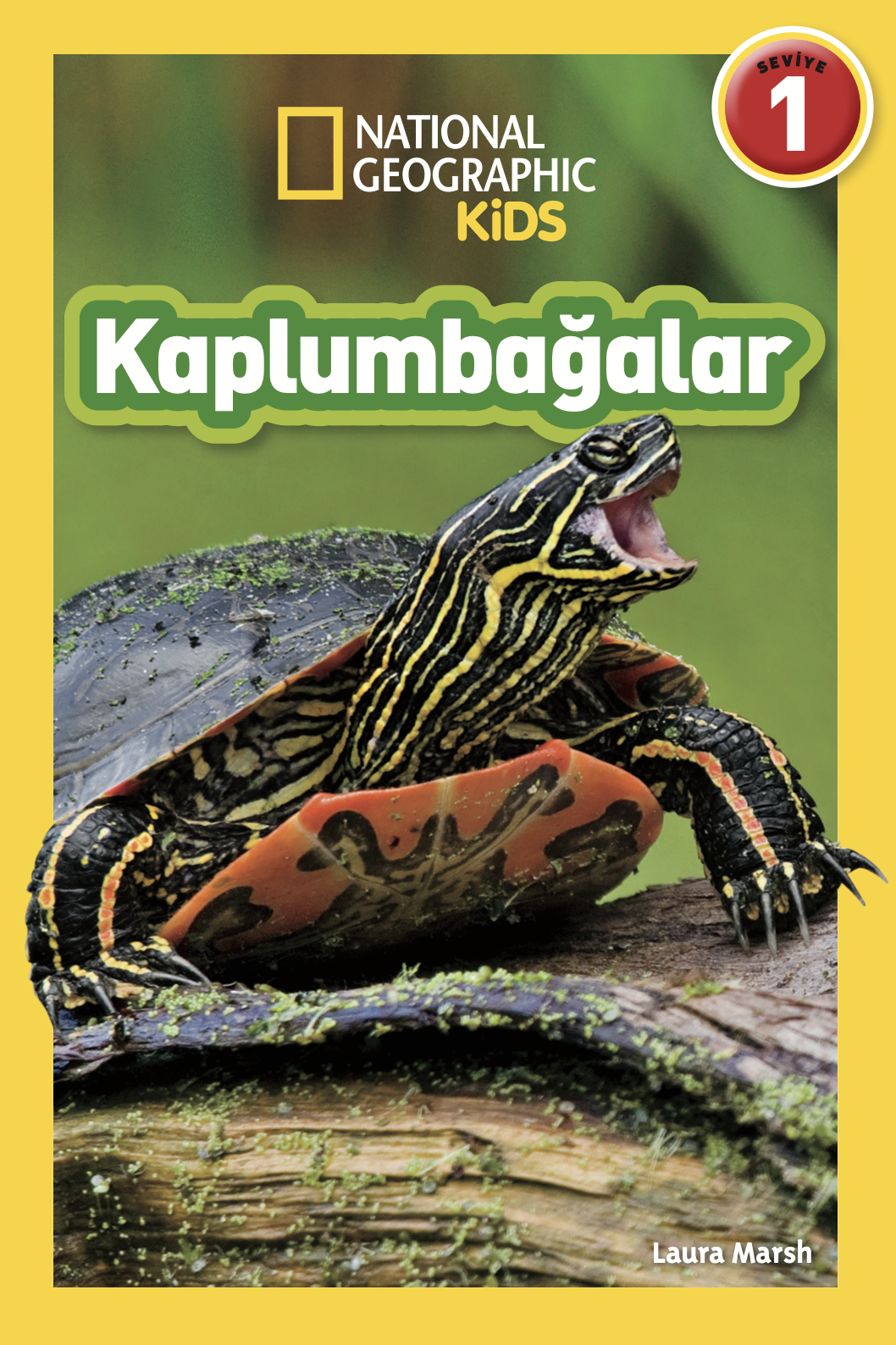Kaplumbağalar
