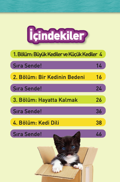 Kediler