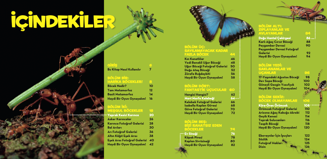 National Geographic İlk Böcekler Kitabım