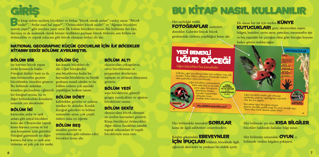 National Geographic İlk Böcekler Kitabım