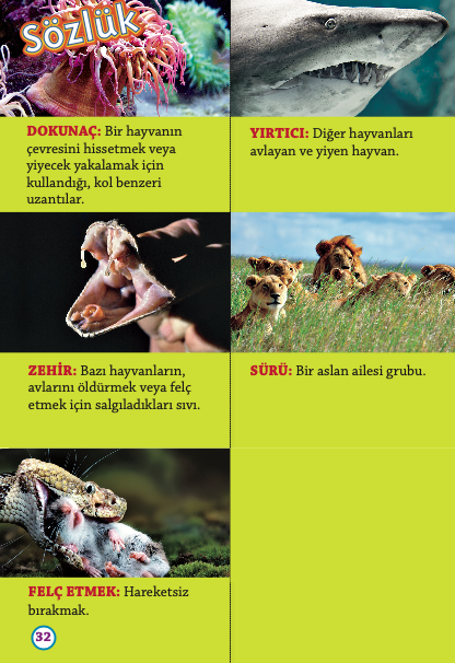 Ölümcül Yırtıcılar