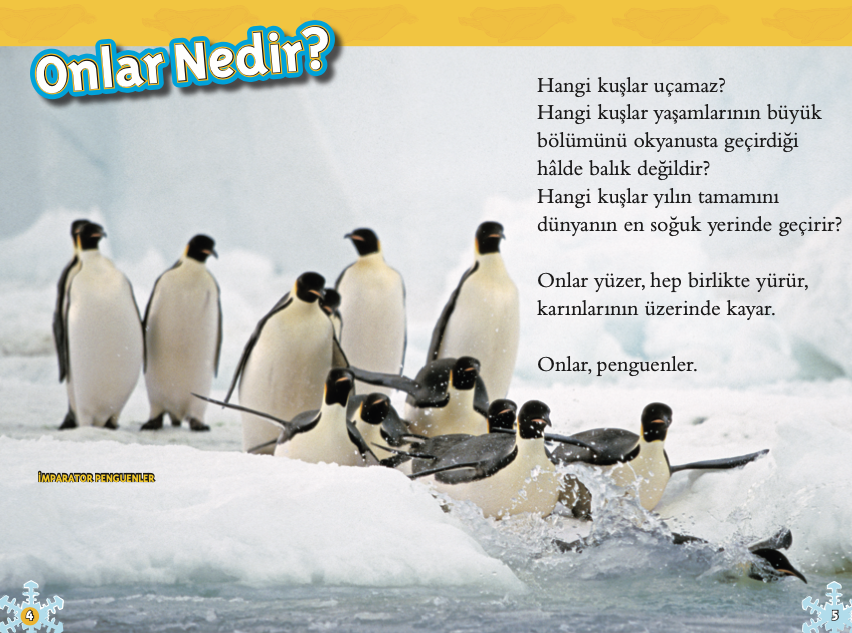 Penguenler