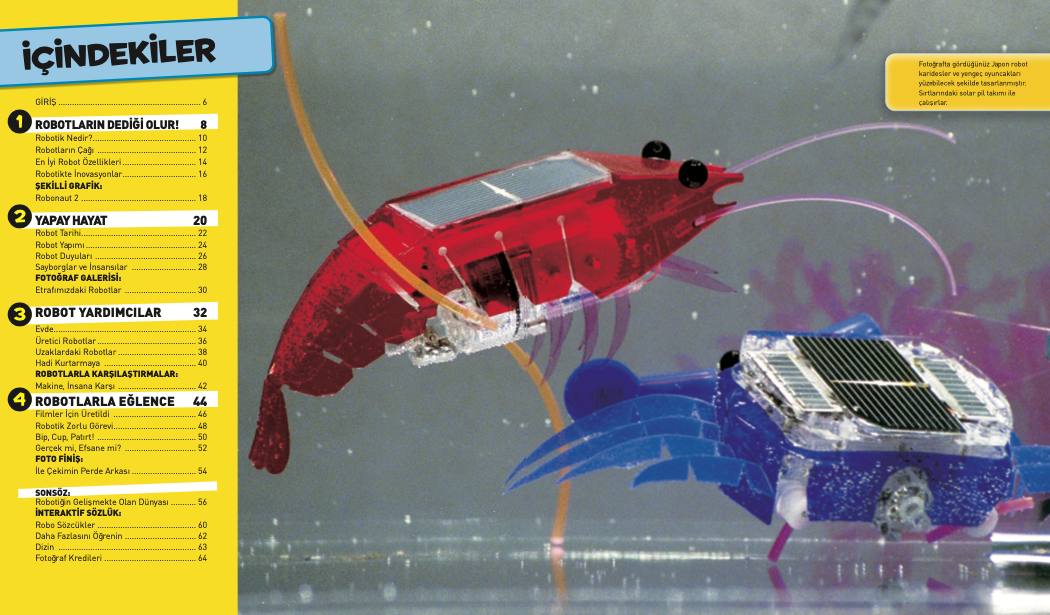 Robotik Hakkında Herşey